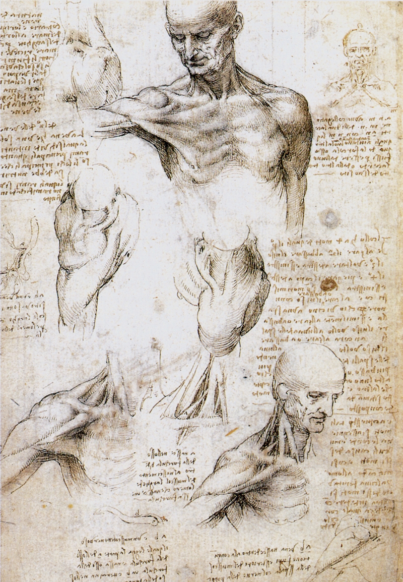 Leonardo+da+Vinci-1452-1519 (338).jpg